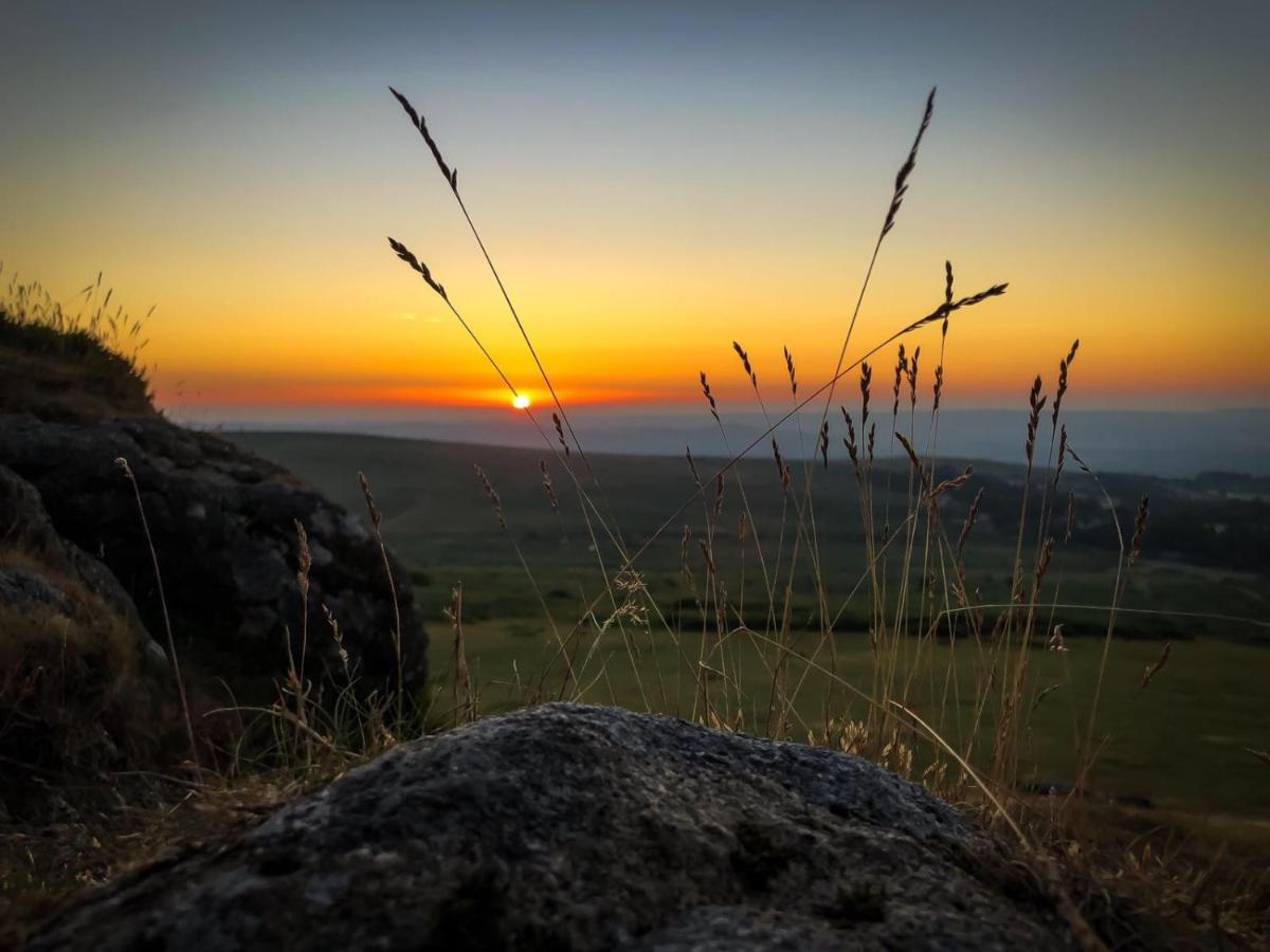 דירות Haytor Court, Haytor, Dartmoor מראה חיצוני תמונה