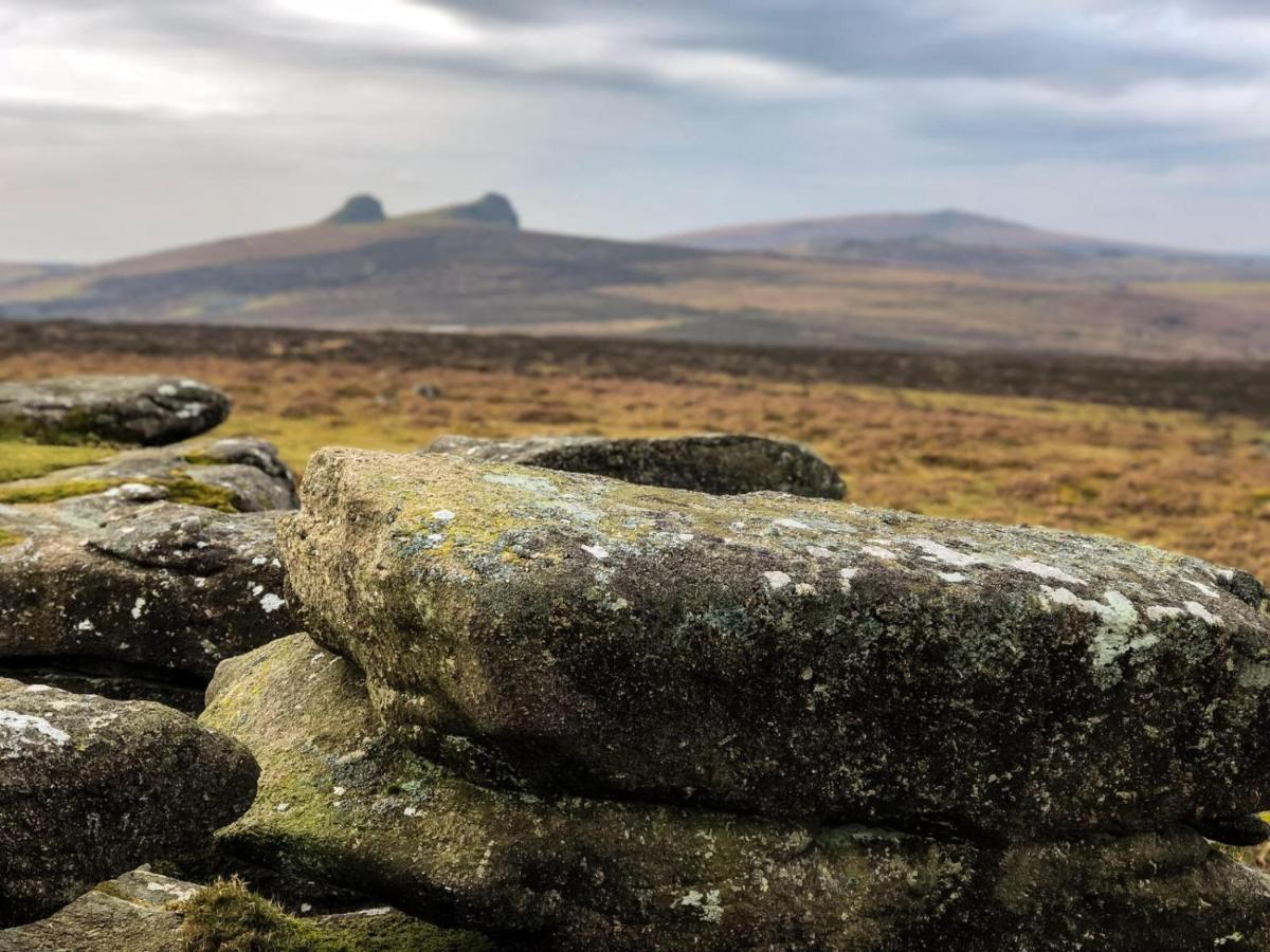 דירות Haytor Court, Haytor, Dartmoor מראה חיצוני תמונה