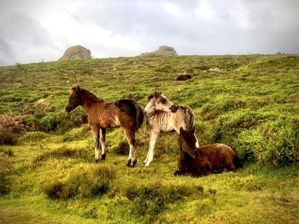 דירות Haytor Court, Haytor, Dartmoor מראה חיצוני תמונה