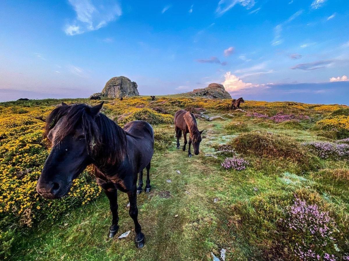 דירות Haytor Court, Haytor, Dartmoor מראה חיצוני תמונה